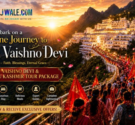 Book Your Tour with Us
